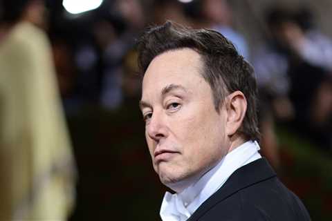 Conservatives and anti-vaxxers are frantically lobbying Elon Musk to lift Twitter bans on their idols after he took over