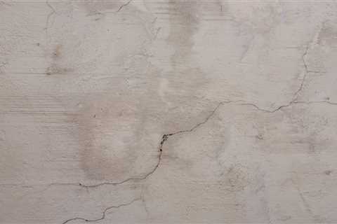 How to Handle a Ceiling Leak in Your Apartment