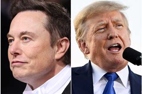 Elon Musk and Donald Trump now own rival social networks. Here's a timeline of their rocky relationship.
