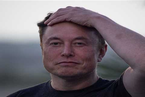From ex-CEO Parag Agrawal to Vijaya Gadde, here are the top Twitter executives who have been fired or left the company since Elon Musk's takeover