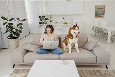What is Pet Liability Insurance for Renters