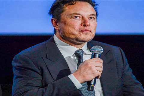Elon Musk is obsessed with the idea that Twitter staff could sabotage the platform, current and former employees reportedly say