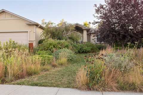 How to Kill Your Lawn and Help the Planet