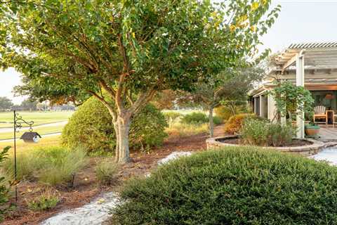 This Floridian Designer Overcame Neighborhood Restrictions for a Lawn-like Look