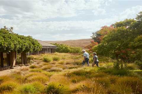 Ditch the Grow-Mow-Blow Mentality of Lawn Care With These Expert Tips