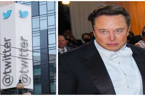 Twitter employees publicly slam Elon Musk for criticizing the app: 'Like did you even bother to learn?'