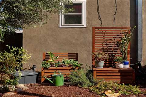 This Sensational Los Angeles Garden Was Built for the Pollinators