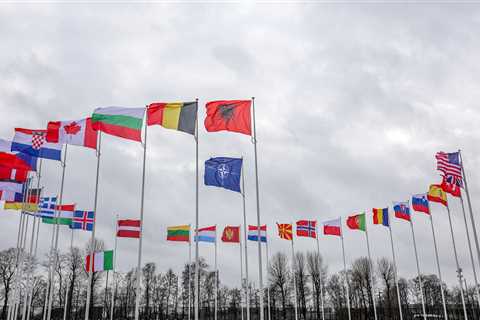 Why isn't Ukraine already in NATO? Here's what it takes to join the 30-country alliance