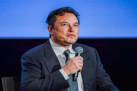 The founder of Twitter rival Mastodon says he's 'not a fan' of Elon Musk's 'erratic' leadership style