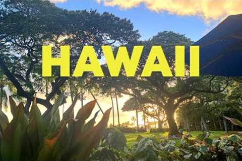 Tropical House Music - View From The Barefoot Bar At The Hale Koa Hotel In Waikiki
