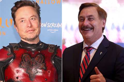 Mike Lindell says he'll drop 'everything' and fly to lobby Elon Musk in person to unban him from Twitter