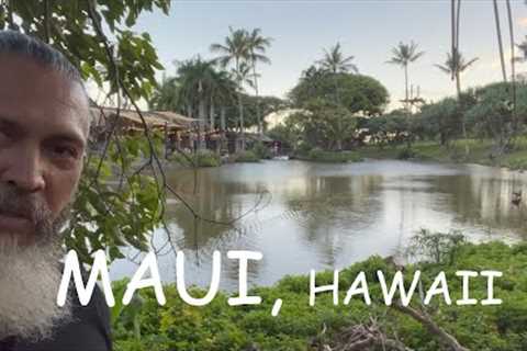 Things To Do While in Maui Hawaii Based on my Recent Trip | episode 1