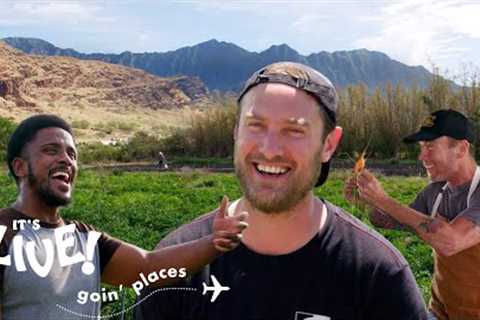 Brad Goes Farming in Hawaii | It's Alive: Goin' Places | Bon Appétit