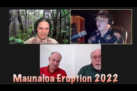 USGS, HI Mayor, &amp; Civil Defense Discuss Maunaloa NERZ Eruption on Day 2