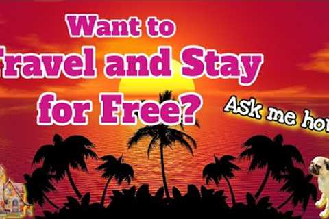 How To Become a House Sitter and Pet Sitter | Can You Really Travel and Stay For Free?