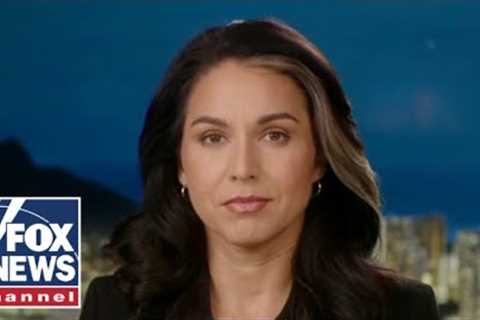 Tulsi Gabbard: This is absolute madness