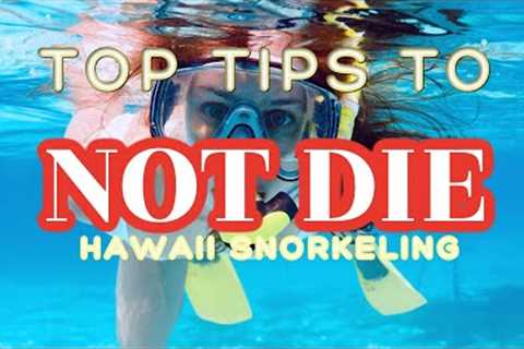 Don't DIE Snorkeling in Hawaii - Top Tips from Eric West