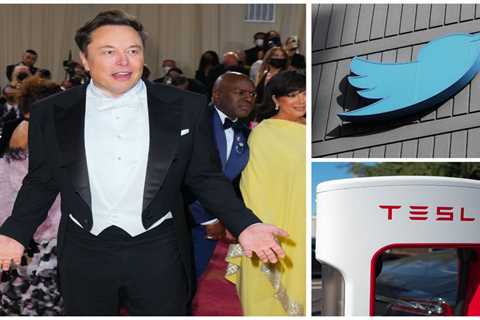 Tesla investors tell Elon Musk to stop wasting time on Twitter as his erratic tweets prompt them to sell shares