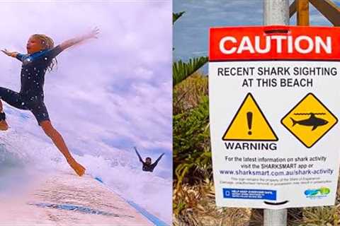 Kids Surfing in SHARK Waters of Australia