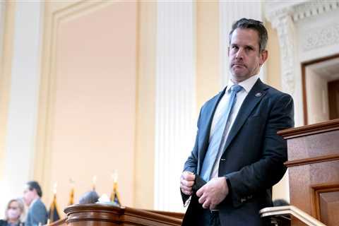 Rep. Adam Kinzinger in final House floor speech says 'limited government' for GOP now means 'inciting violence against government officials'