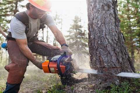 The 15 deadliest jobs in America