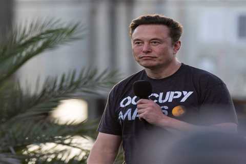 Elon Musk asked Twitter users whether he should stay on as CEO, but he'd already made up his mind to go