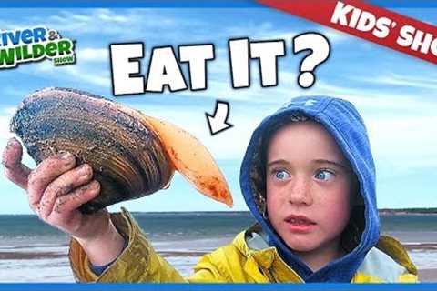 KIDS CATCH AND EAT MYSTERY SEAFOOD ON PEI BEACH | KIDS FUN | RIVER &amp; WILDER