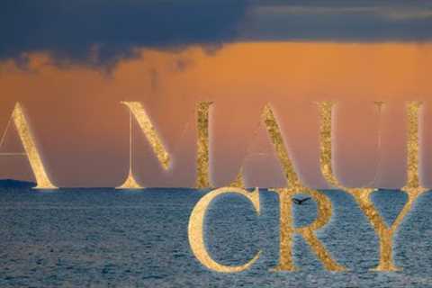 Maui Hawaii 2023 - A Cry For Help