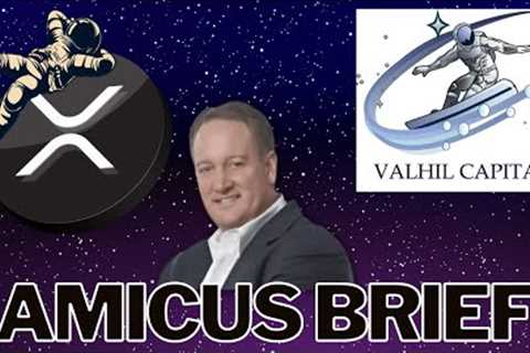 XRP USED EVERYDAY FOR BUSINESS - Valhil Capital submits Amicus Brief - SEC v Ripple - XRPL XRP