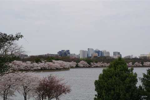 10 Most Affordable Arlington, VA Suburbs to Live In