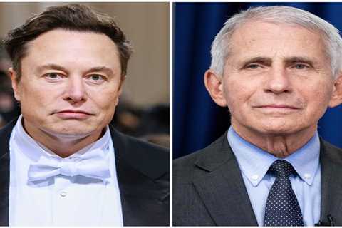 Elon Musk teases release of the 'Fauci Files,' following his previous scathing criticism of the medical expert
