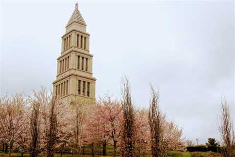 Unique Things to Do in Alexandria: 11 Things to Experience as a Newby