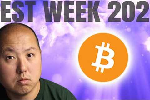 Bitcoin's Best So Far in 2023 - What Happened?