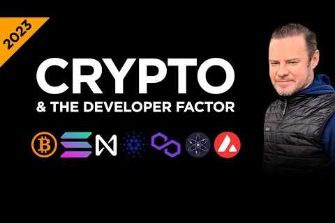 Top Blockchains and the Developer Factor