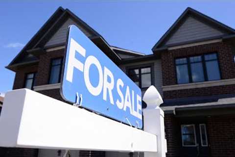 Market reaching 'bit of a bottom' says real estate board analyst