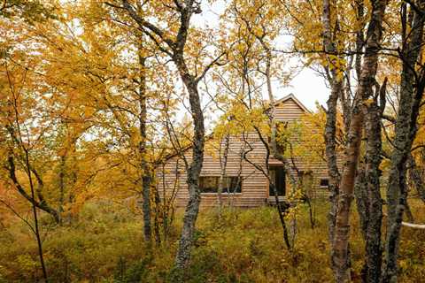 A Central Fireplace Anchors This Uber-Cozy Cabin in a Swedish Forest