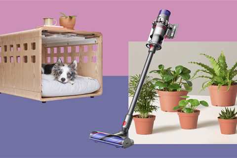 Fable Pets’ Jeremy Canade’s Favorite Dog Essentials Are Made for City Life
