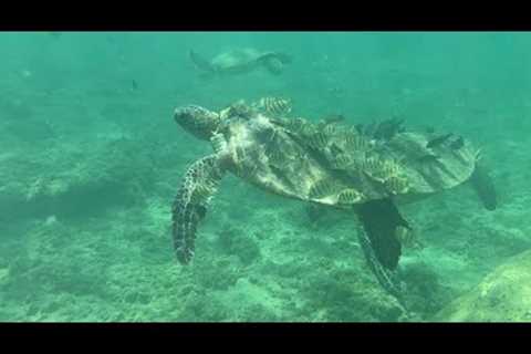 9 Days on Kauai on a Reasonable Budget