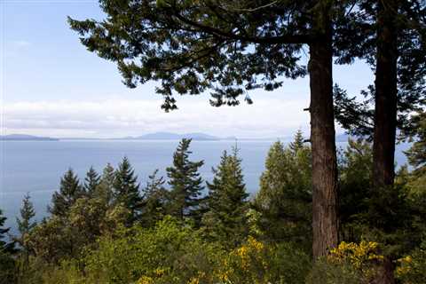 15 Must-Try Restaurants in Bellingham: Where the Bellingham Locals Eat