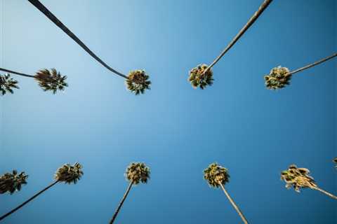 15 Must-Try Escondido Restaurants: Where the Escondido Locals Eat