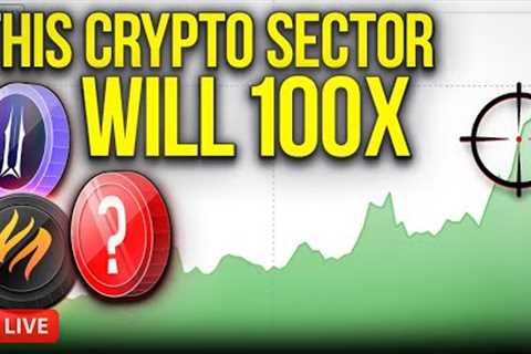 Investing In This Crypto Sector Could 100X Your Portfolio!