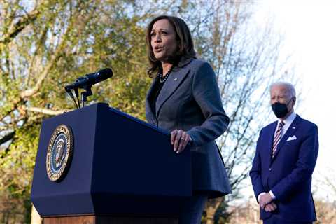 Democrats sent by Kamala Harris' advisors to praise her actually confided to the New York Times that they'd 'lost hope in her'