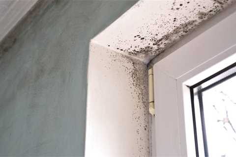Check These Spots in Your House for Hidden Mold