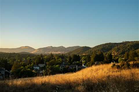 15 Must-Try Restaurants in Santa Rosa: Where the Santa Rosa Locals Eat