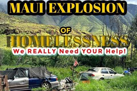 Maui Hawaii News - EXPLOSION of Homeless