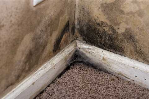 Indoor Air Pollution: Causes, Effects, and How to Improve Your Indoor Air Quality