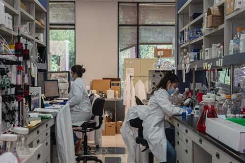 A biotech company that once claimed to have a 'cure' for COVID-19 just filed for bankruptcy, sending shares plunging 61%