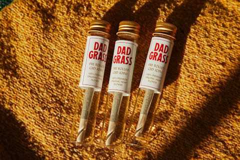 The Role of Child-Resistant Boxes in Regulated CBD Packaging