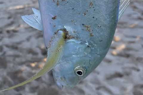 Catch and cook for Super Bowl. Let’s go fishing in Hawai’i season 2 episode 2.