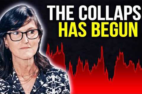 Everyone Will Be Wiped Out In 30 Days... | Cathie Wood's Last WARNING